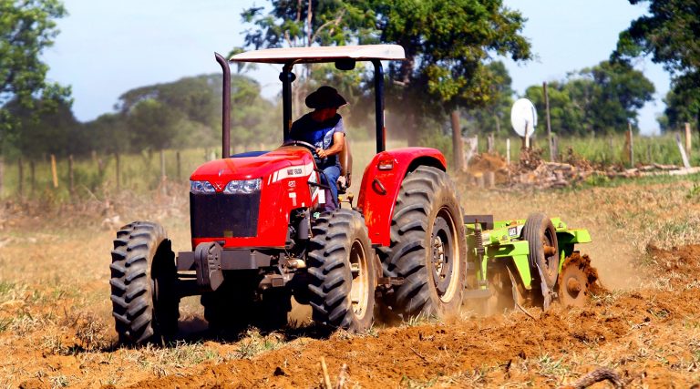 Agricultura familiar: Programa terá mais R$ 4 milhões na aquisição de alimentos