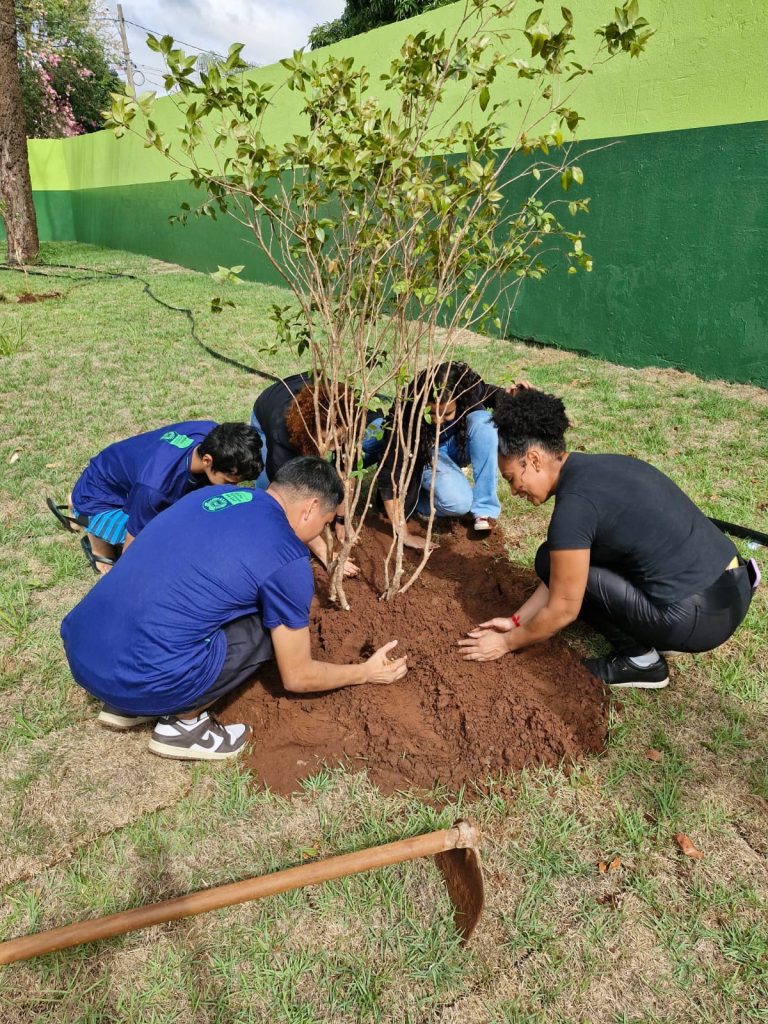 Escolas de Mato Grosso do Sul promovem conscientização ambiental com plantio de mudas e orientações sobre rede elétrica