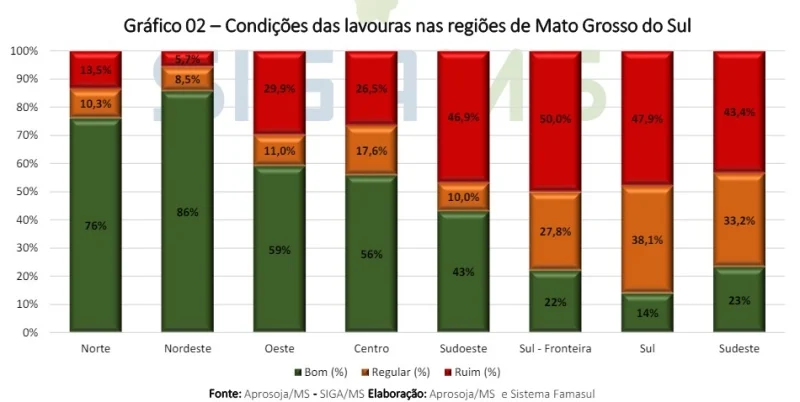 A colheita do milho no Mato Grosso do Sul atingiu 8,2%, demonstrando um avanço significativo em comparação ao ano anterior